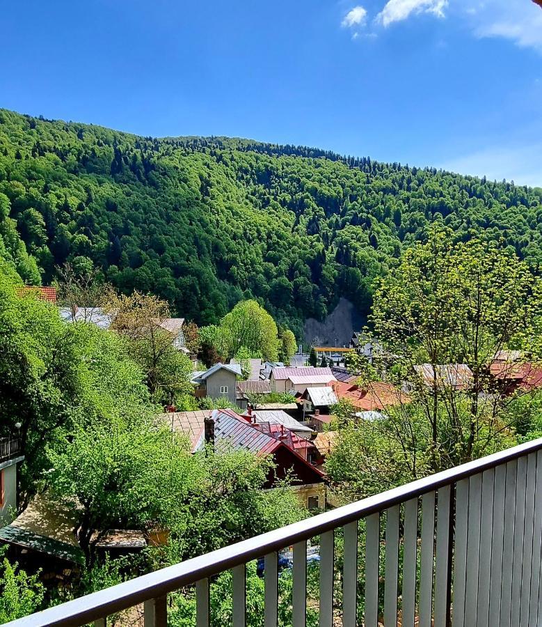 Sara Apart Belleview Sinaia Extérieur photo