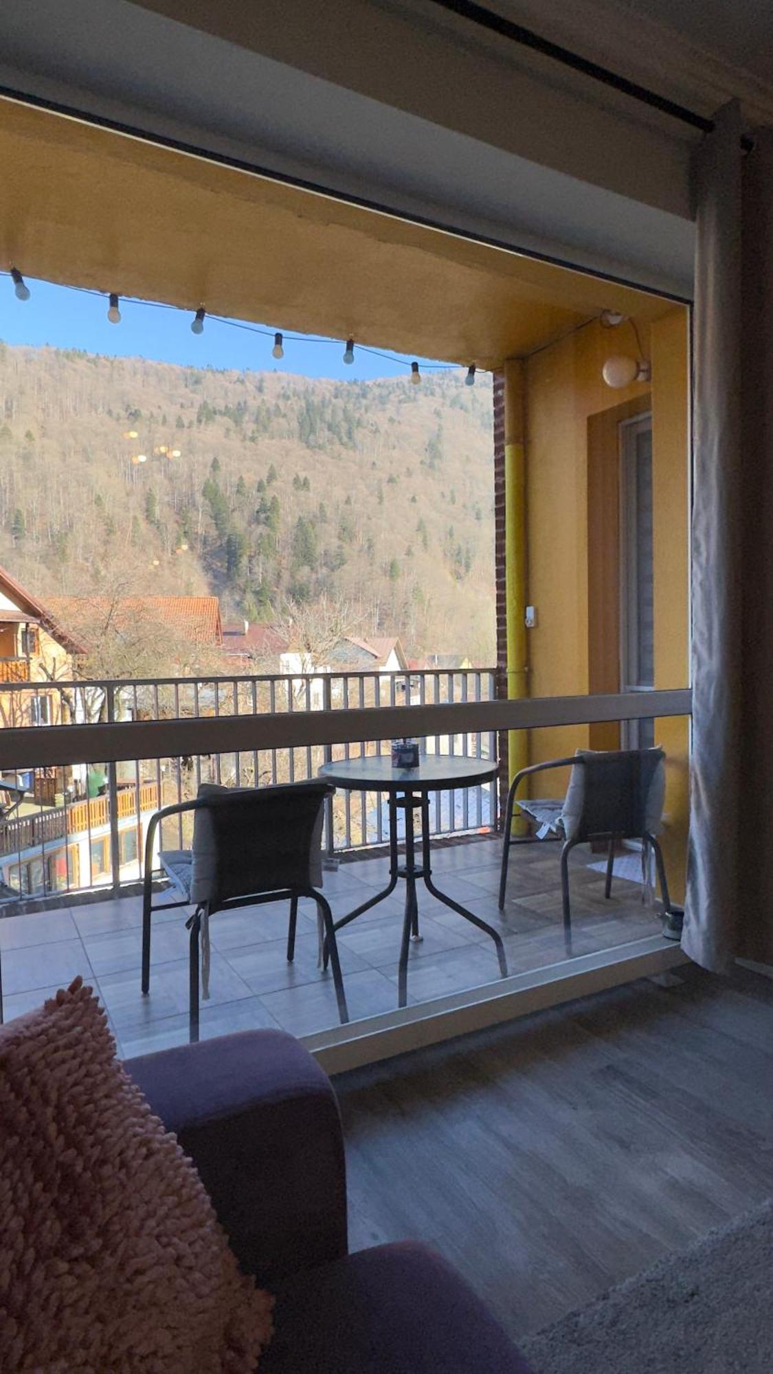 Sara Apart Belleview Sinaia Extérieur photo